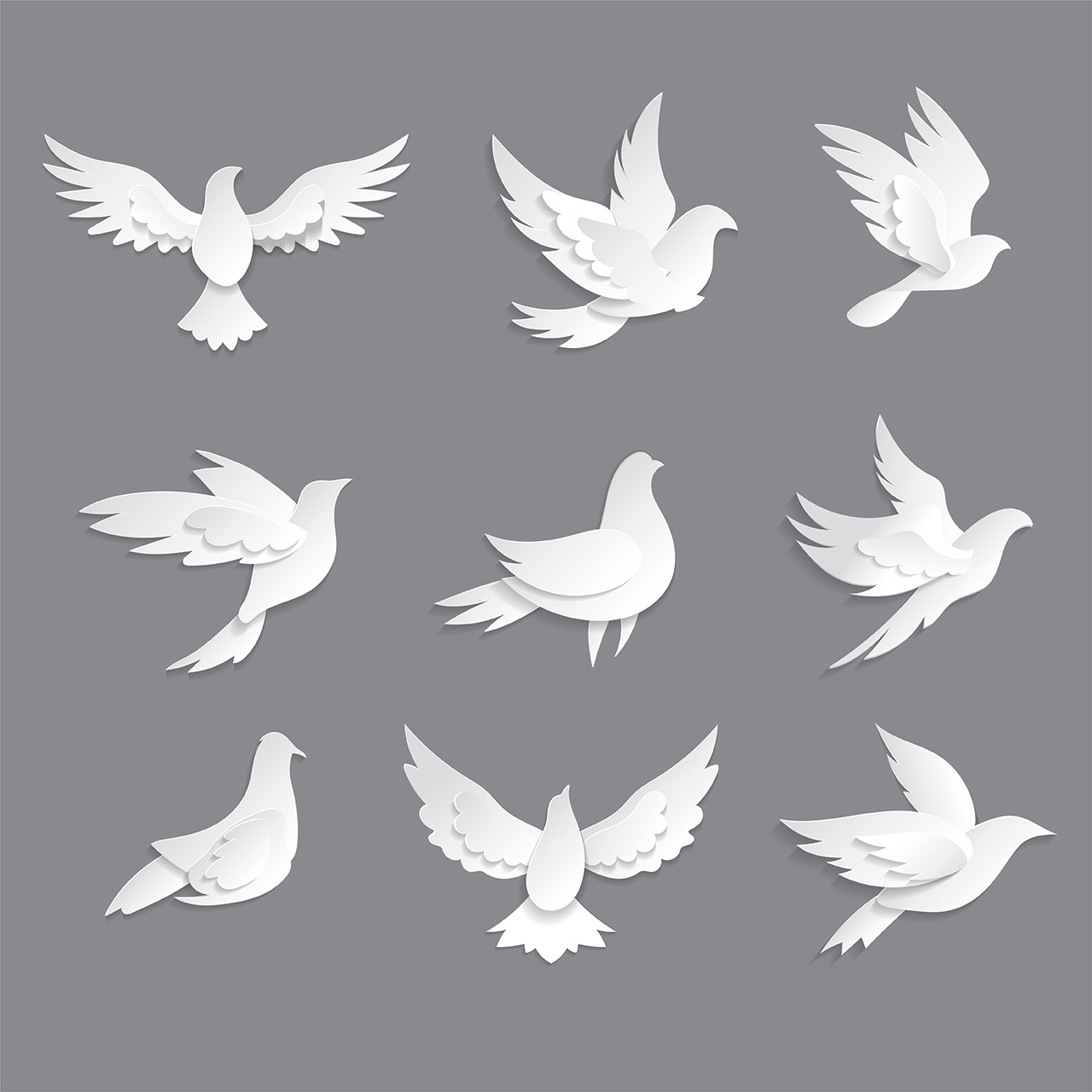 和平鸽矢量素材插图