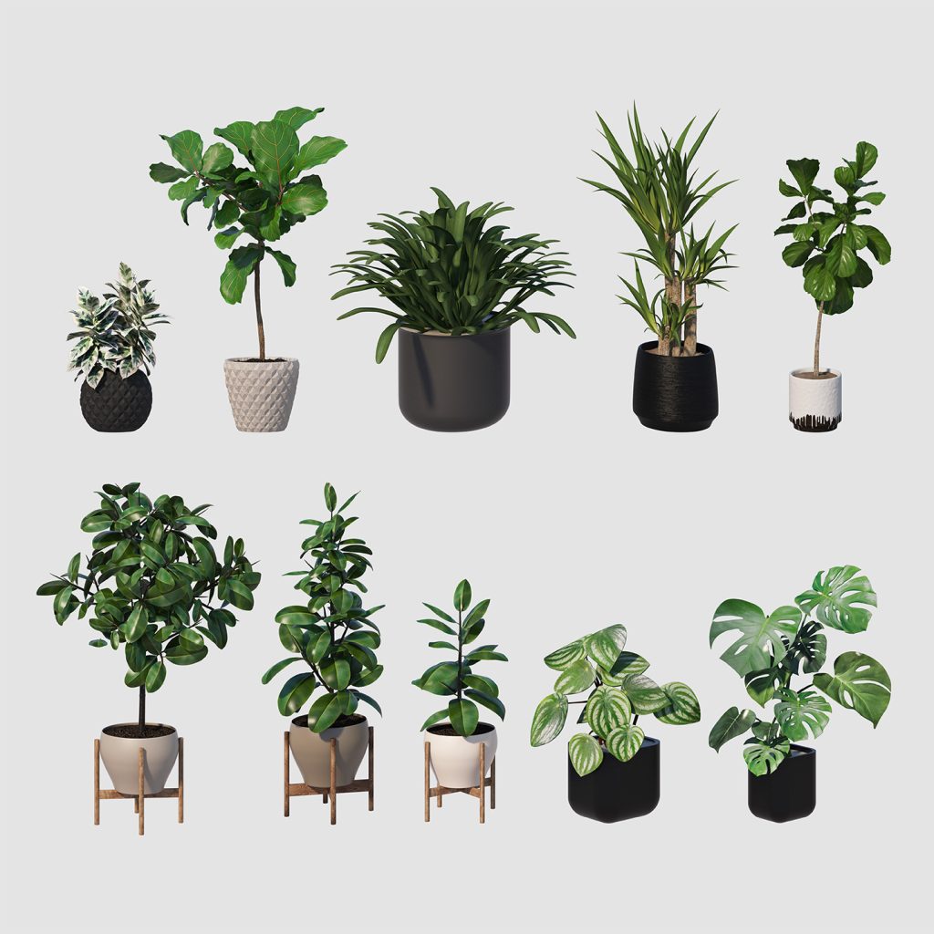 绿叶盆栽花盆绿植PSD素材插图