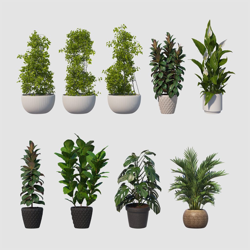 绿植花盆绿叶盆栽盆景PSD素材插图