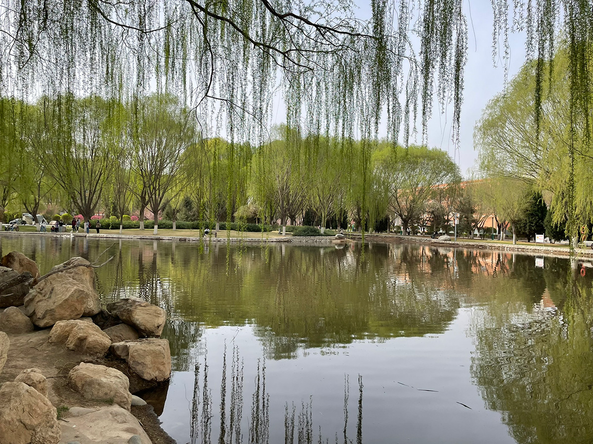 公园人工湖插图