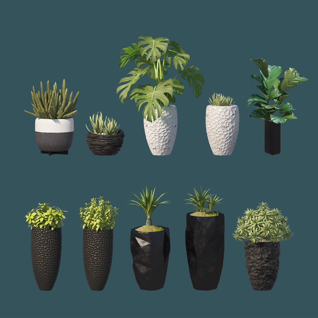 绿叶盆栽花盆绿植盆景PSD素材插图