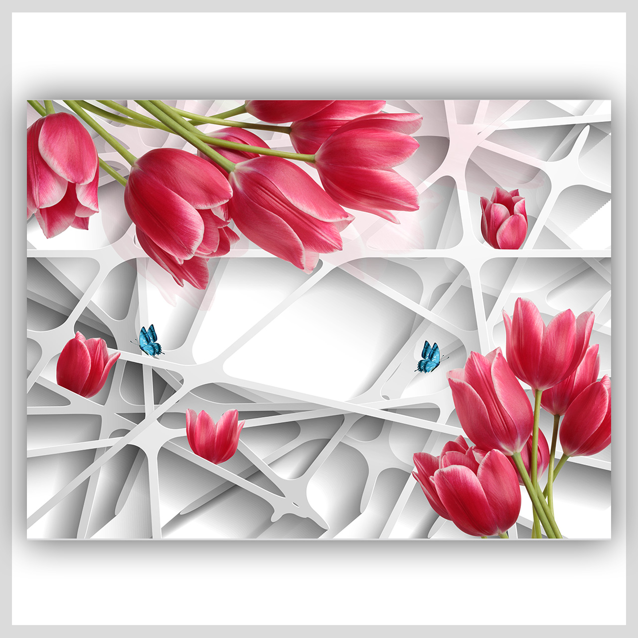 花朵电视背景图插图