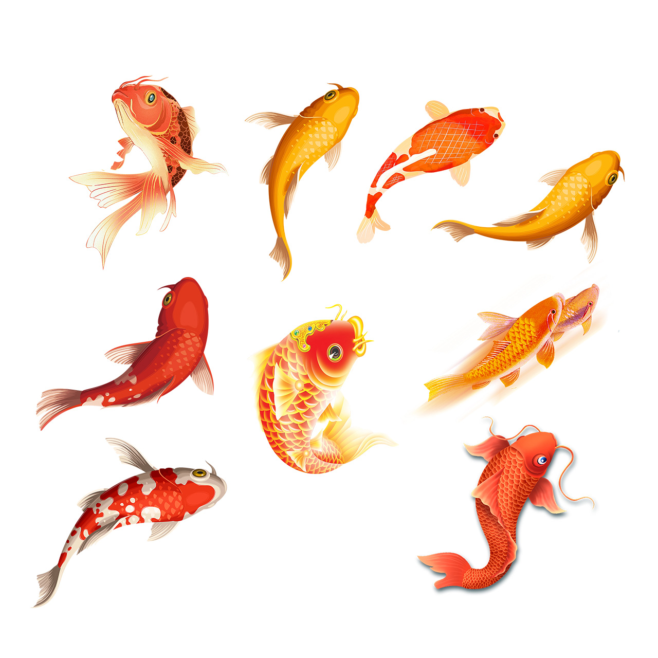 各种锦鲤鱼PSD素材插图