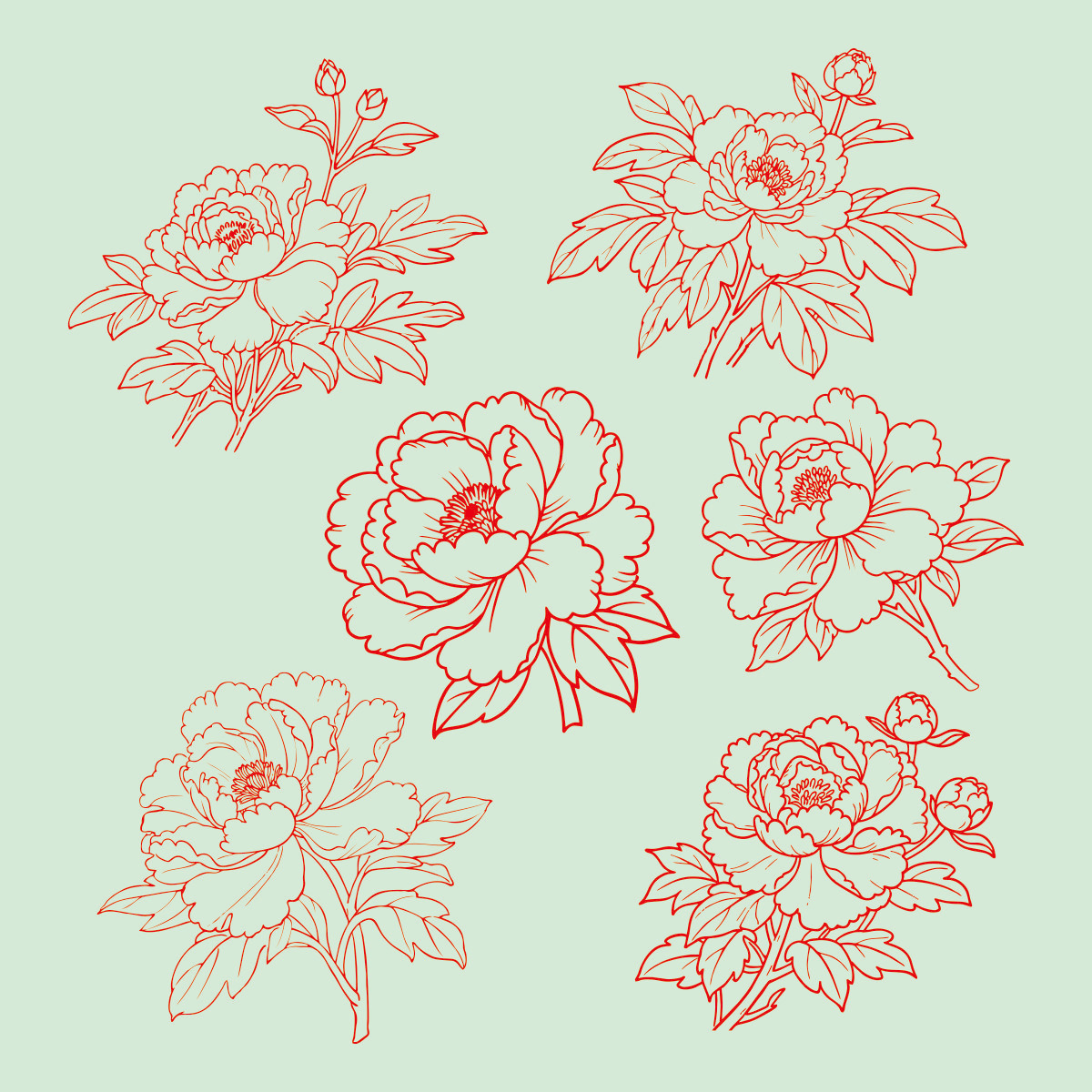 牡丹线稿CDR素材插图