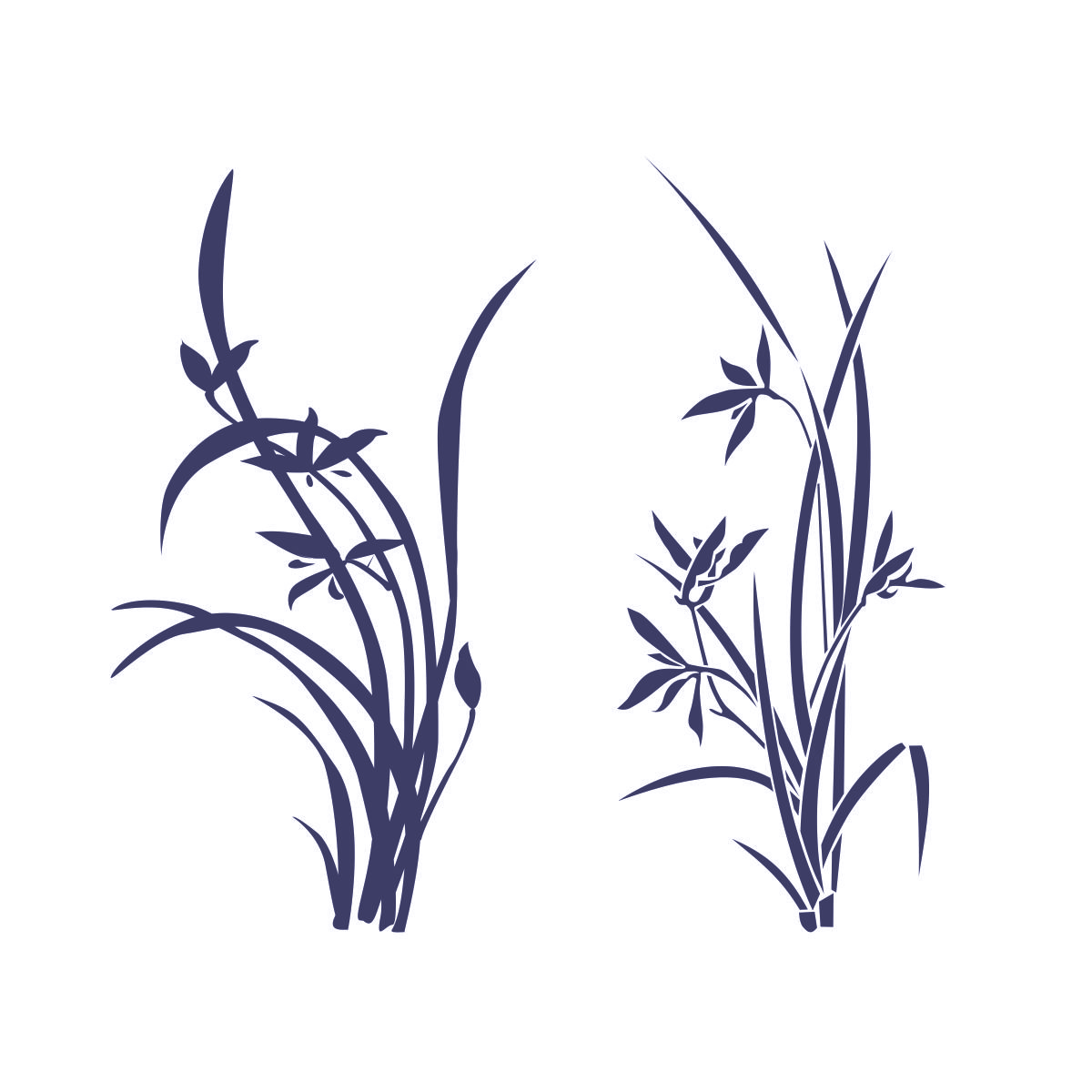 兰花CDR素材插图