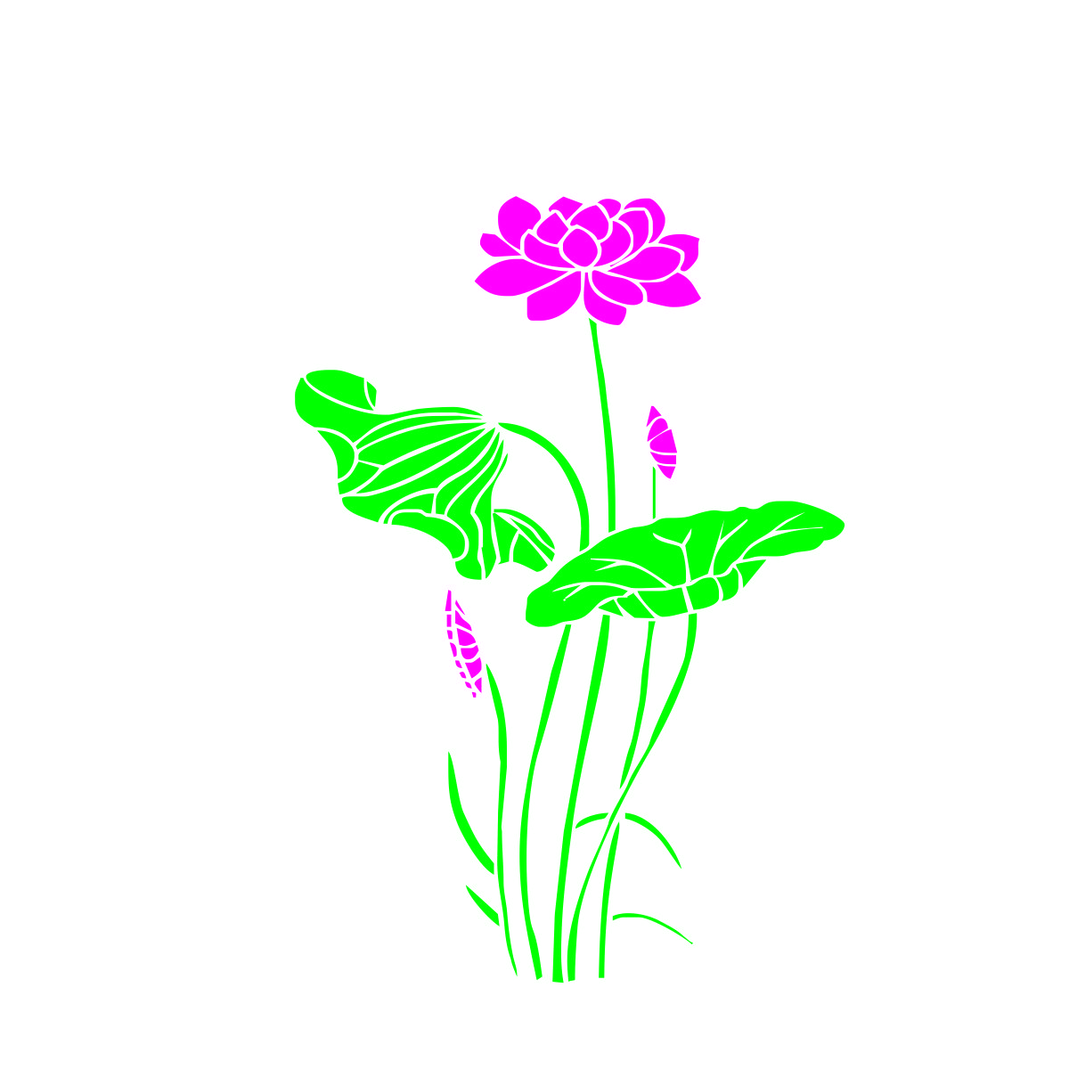 荷花CDR矢量素材插图