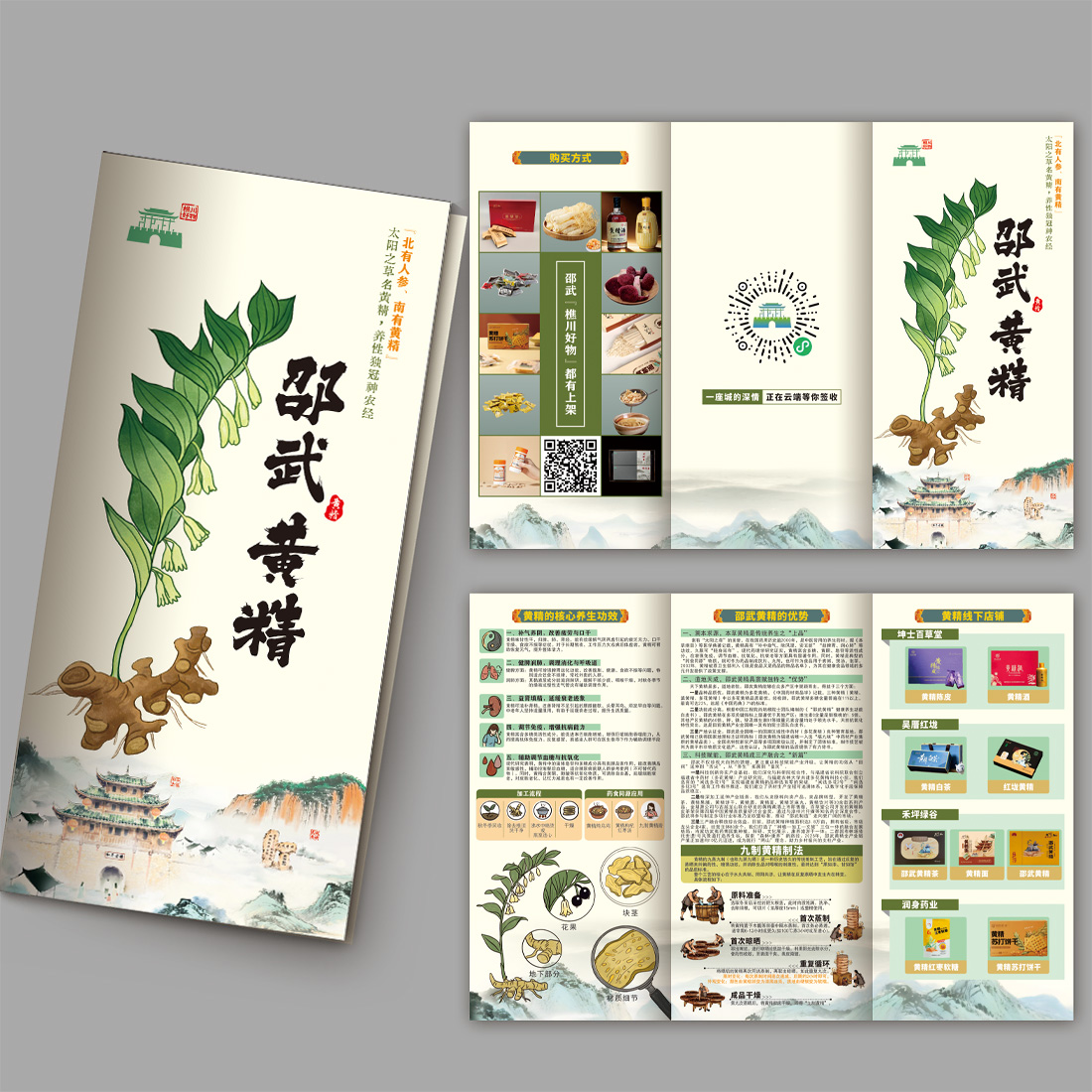 黄精中药材三折页插图